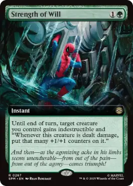 ts　意志の力　mtg英語4枚 意志の力/Force of Will》[ALL] HP4枚セット - MTG専門店