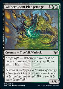 (249)《ウィザーブルームの誓約魔道士/Witherbloom Pledgemage》[STX] 金C