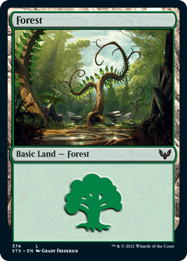 (374)《森/Forest》[STX] 土地