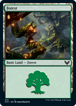 (375)《森/Forest》[STX] 土地
