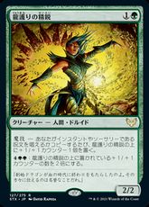 【Foil】■プレリリース■《龍護りの精鋭/Dragonsguard Elite》[STX-PRE] 緑R