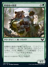 【Foil】(140)《獣魔術の教授/Professor of Zoomancy》[STX] 緑C