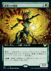 【Foil】(316)■拡張アート■《龍護りの精鋭/Dragonsguard Elite》[STX-BF] 緑R