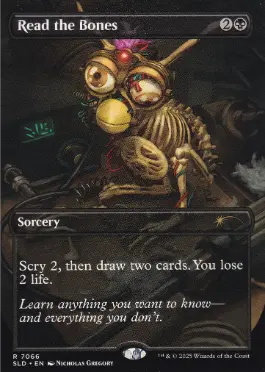 7066)□ボーダーレス□《骨読み/Read the Bones》[SLD] 黒 | 日本最大