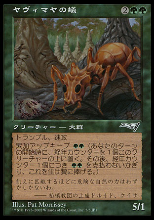 ヤヴィマヤの蟻/Yavimaya Ants》(復刻カード)[ALL-P] 緑U | 日本最大級