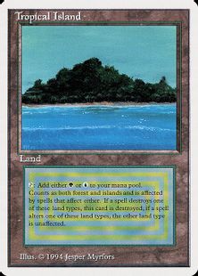 Tropical Island》[Summer Magic] 土地R | 日本最大級 MTG通販サイト 