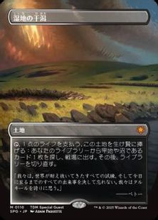 110)□ボーダーレス□《湿地の干潟/Marsh Flats》[SPG] 土地 | 日本 