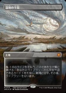 【ドラゴンスケイル・Foil】(115)■ボーダーレス■《湿地の干潟/Marsh Flats》[SPG] 土地
