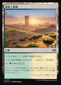 花咲く砂地
