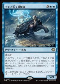 そぞろ歩く嵐甲羅