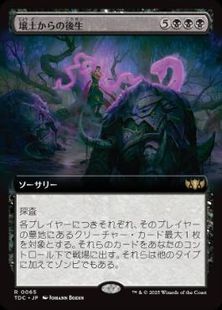 (065)■拡張アート■《壌土からの後生/Afterlife from the Loam》[TDC] 黒R