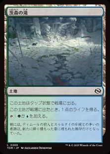 (269)《茨森の滝/Thornwood Falls》[TDM] 土地C