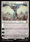 嵐の討伐者、エルズペス