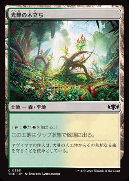 (385)《光輝の木立ち/Radiant Grove》[TDC] 土地C