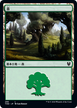 (286)《森/Forest》[THB] 土地