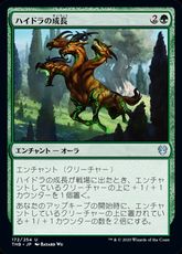 【Foil】(172)《ハイドラの成長/Hydra's Growth》[THB] 緑U