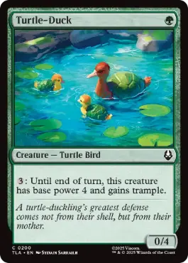 Turtle-Duck