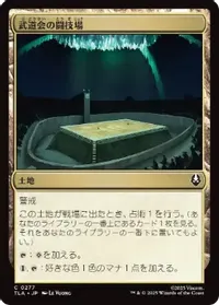 武道会の闘技場