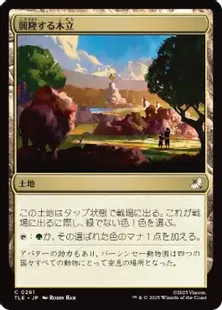Foil】(261)《興隆する木立/Thriving Grove》[TLE] 土地C | 日本最大級