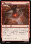 自由の代価