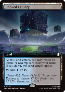 Choked Estuary