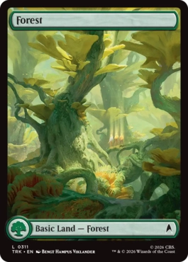 Forest