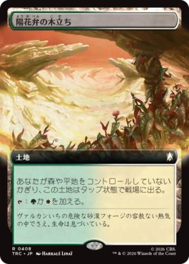 陽花弁の木立ち