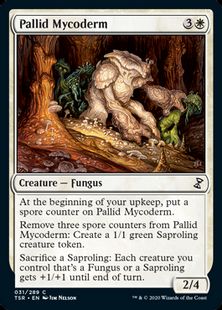 (031)《淡色のマイコダーム/Pallid Mycoderm》[TSR] 白C