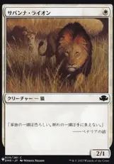 (DMR-24)《サバンナ・ライオン/Savannah Lions》[PWシンボル付き再版] 白C