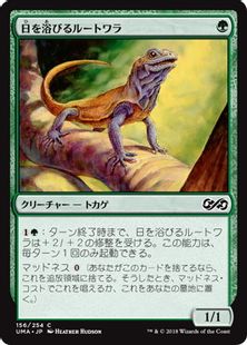 日を浴びるルートワラ/Basking Rootwalla》[UMA] 緑C | 日本最大級 MTG 