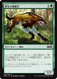 《野生の雑種犬/Wild Mongrel》[UMA] 緑C