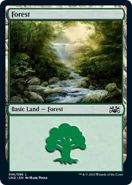 (095)《森/Forest》[UND] 土地