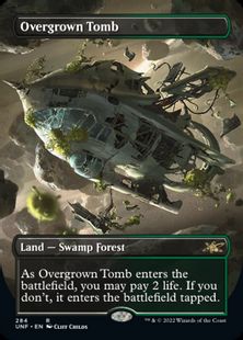 □Borderless□《Overgrown Tomb》[UNF-BF] | hareruya