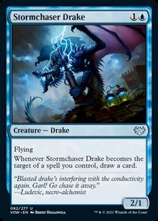 (082)《嵐追いのドレイク/Stormchaser Drake》[VOW] 青U