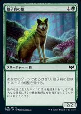 『予約シングル』《胞子背の狼/Sporeback Wolf》[VOW] 緑C