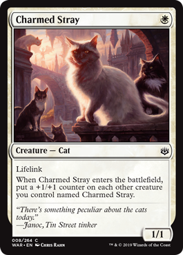 【Foil】《幸運な野良猫/Charmed Stray》[WAR] 白C