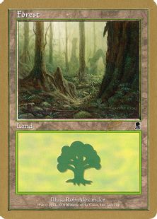 【金枠】《森/Forest》[WC02] 土地 Raphael Levy(348)