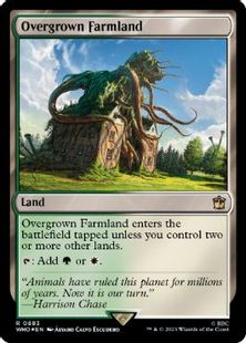 【サージ・Foil】(883)《草茂る農地/Overgrown Farmland》[WHO] 土地R