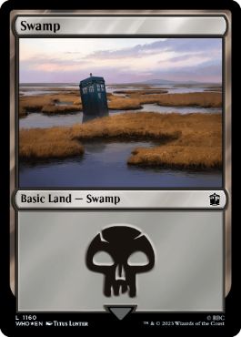 【サージ・Foil】(1160)《沼/Swamp》[WHO] 土地