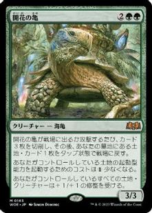 (163)《開花の亀/Blossoming Tortoise》[WOE] 緑R