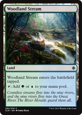 《森林地の小川/Woodland Stream》[XLN] 土地C