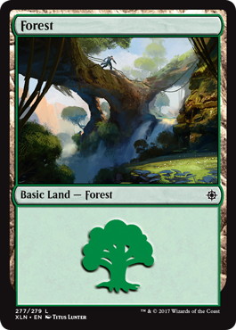 【Foil】(277)《森/Forest》[XLN] 土地