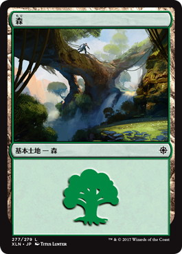 (277)《森/Forest》[XLN] 土地
