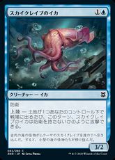 【Foil】(082)《スカイクレイブのイカ/Skyclave Squid》[ZNR] 青C