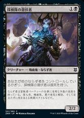 【Foil】(101)《探検隊の潜伏者/Expedition Skulker》[ZNR] 黒C