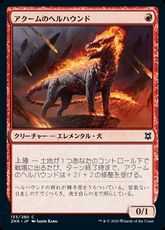 【Foil】(133)《アクームのヘルハウンド/Akoum Hellhound》[ZNR] 赤C