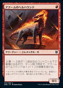 アクームのヘルハウンド Akoum Hellhound Znr 赤c 日本最大級 Mtg通販サイト 晴れる屋