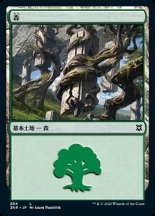 (384)《森/Forest》(Normal Border)[ZNR] 土地