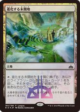 【Foil】《進化する未開地/Evolving Wilds》(League)[RIX-P] 土地C