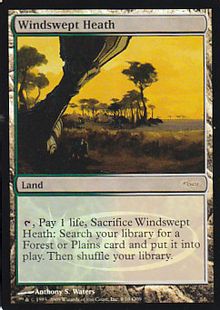 Foil】《吹きさらしの荒野/Windswept Heath》(ジャッジ褒賞)[DCIマーク 
